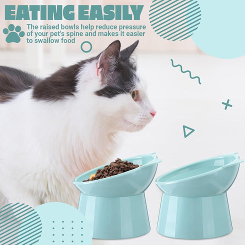 Zhehao 2 Pieces Plastic Raised Bowl Tilted 15 Degrees Elevated Cat Food and Water Bowls Set Anti Vomit Dog Kitten Food Dishes Pet for Cats and Sma...
