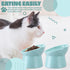 Zhehao 2 Pieces Plastic Raised Bowl Tilted 15 Degrees Elevated Cat Food and Water Bowls Set Anti Vomit Dog Kitten Food Dishes Pet for Cats and Sma...