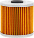Road Passion 16099004 Oil Filter Compatible with KAWASAKI KEF300 LAKOTA 300 1995-2003 KEF300 LAKOTA SPORT 290 2001-2002...