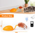BABORUI Upgraded Cat Interactive Toy, Remote Control Mouse Toy, Automatic Cat Mouse Toys with Feathers, Moving Smart Cat Toy Car for Indoor Cats, ...