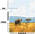 shinefly Paint by Numbers for Adults Beginners Home Acrylic Paint by Numbers Kits for Kids on Canvas 16x20 inch, African Elephant...