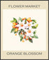 Posterizer 1 pcs-Orange blossom flower market pastel print-Collectibles & Fine Art-Floral & Botanical Art-Living Room Bedroom Decor- unframed wall...
