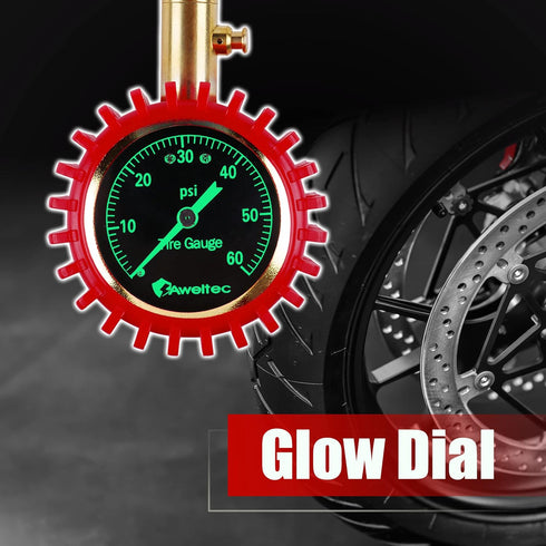 Tire Pressure Gauge 0-60 PSI Long Hose - Heavy Duty Tire Gauge High Accurate with Large 2 Inch Easy to Read Glow Dial, Low – High Tire Gauge for C...
