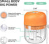 Electric Garlic Chopper, Portable Veggie Chopper, 350ML Garlic Grinder Masher Onion Chopper,Cordless Food Processor for Ginger, Chili, Fruit, Meat...
