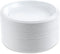 Blue Sky 100 Count Disposable Plastic Plates, 6-Inch, White...