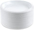 Blue Sky 100 Count Disposable Plastic Plates, 6-Inch, White...