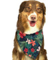 Flowers in The Palm Trees Banana Leaves Dog Bandana,Dog Bandanas Triangle Bibs Scarf Accessories for Small Medium Large Dogs Cats Pets Animals...