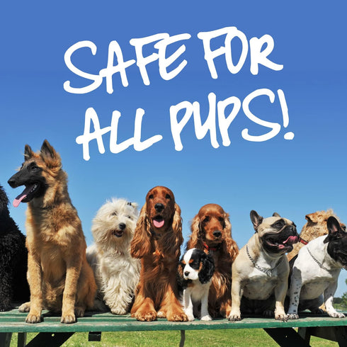 Pup Soap - Ink Oil | Dog Shampoo/Soap | Puppy Bath Supplies | Pet wash Essentials | Grooming Health Bath Deodorizer | Long-Lasting Fresh Cleaning ...