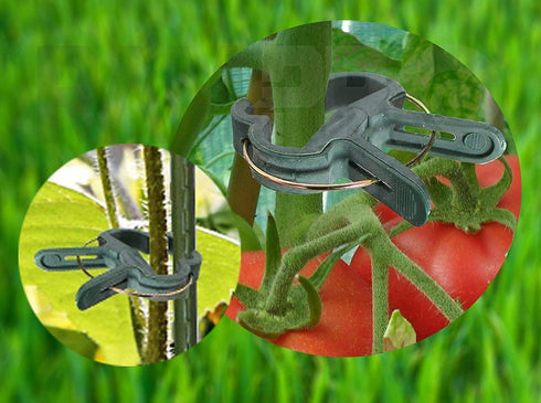 RamPro 80 Piece Green Gentle Gardening Plant & Flower Lever Loop Gripper Clips, Tool for Supporting or Straightening Plant Stems, Stalks, and Vine...