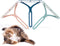 Pet Hair Remover for Couch, Carpet Scraper Fur Removal Tool for Furniture, Lint Cleaner Dog Hair, Reusable Cat Hair Removal Brush for Car Detailin...