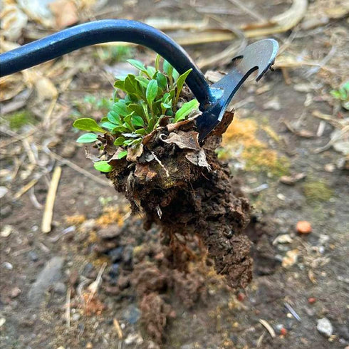 2023 New Weeding Artifact Uprooting Weeding Tool, Premium Manganese Steel Forged Weed Puller 4 Teeth Dual Purpose Weeder, Hand Weeder Tool for Gar...