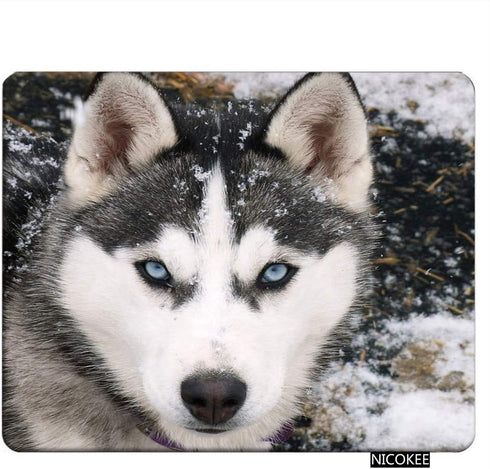 Dog Rectangle Gaming Mousepad Siberian Husky Dog Mouse Pad Mouse Mat for Computer Desk Laptop Office 9.5 X 7.9 Inch Non-Slip Rubber...