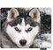 Dog Rectangle Gaming Mousepad Siberian Husky Dog Mouse Pad Mouse Mat for Computer Desk Laptop Office 9.5 X 7.9 Inch Non-Slip Rubber...