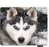Dog Rectangle Gaming Mousepad Siberian Husky Dog Mouse Pad Mouse Mat for Computer Desk Laptop Office 9.5 X 7.9 Inch Non-Slip Rubber...