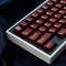114 Keycaps Translucent Red Keycaps Cherry Profile Doubleshot PBT Keycap Set Fit for 61/64/87/104/108 Cherry Mx Switches Mechanical Keyboard...