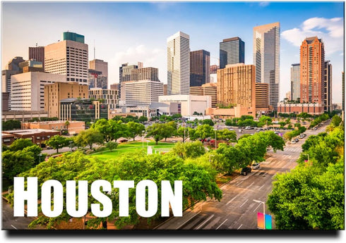 Houston Fridge Magnet Texas Travel Souvenir......