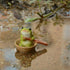 Top Collection Miniature Fairy Garden and Terrarium Frog Rowing Boat Figurine, Green...