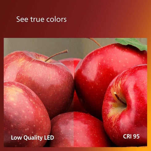 Vintage Spiral ST19 Dimmable LED Light Bulbs - E26 Bulb - Flicker-Free Light Bulb with EyeComfort Technology - Amber 2000K Lightbulb - 300 Lumen -...