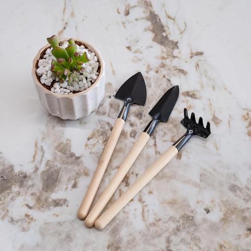 Set of 3pcs Gardening Tools for Small Plants Succulents Pots Flower Cactus - Bonsai Tool Kit Gift for Kids and Adults...
