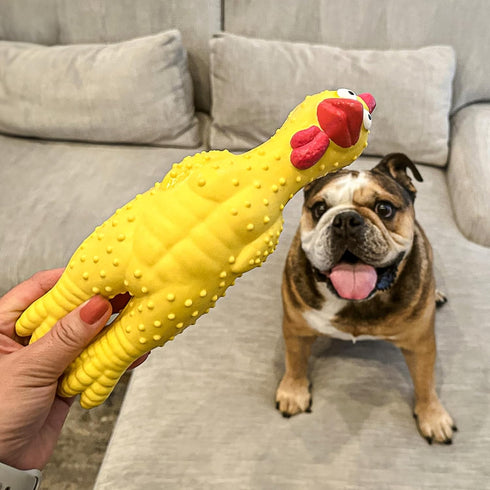 Rubber Crazy Chicken Dog Toy, 100% Natural & Durable Latex Dog Squeaky Toys, Soothes, Entertains & Promotes Wellness, Funny Puppy Toys for Small, ...