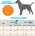 Heavy Duty Dog Leash - Comfortable Padded Handle, 5 ft Long - Dog Leashes for Small Medium Large Dogs (Leash+Collar M Neck 16"-20", Blue)...