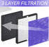 R1 HEPA Filter Replacement Compatible with YIOU R1 P1802 and Elechomes P1801, Deep Purple, 2 Pack...