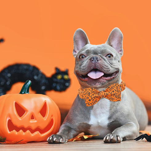 Halloween Dog Collar, Pet Collar Dog Bow Pumpkin Dog Collar Girl Boy Holiday Pet Dog Collar Gift Bow Dog Collar Cute Soft Puppy Collar for Large D...