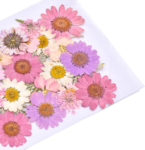 160 Pcs Dried Pressed Flowers for Resin, Real Pressed Flowers Dry Leaves Bulk Natural Herbs Kit for Scrapbooking DIY Art Crafts, Epoxy Resin Jewel...