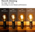 G25(G80) LED Globe Vintage Edison Bulbs, Antique Flexible Spiral LED Filament Light Bulb, 6W Equivalent to 60W, 600LM, Warm White 2500K, E26 Base,...