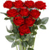 JUSTOYOU 10Pcs Artificial Roses Flowers, Realistic Blossom Roses, Real Touch Silk Rose, Single Fake Flower Long Stem Bouquets for Home Wedding Par...