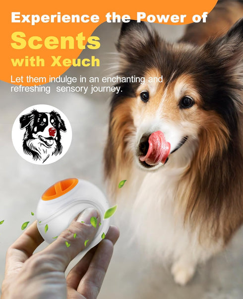 LED Dog Ball Rechargeable, Light Up Dog Ball Toys, Bounce-Activated Durable Fetch Ball, Natural Rubber, Unique Scent, 2.5 inches, for Small & Medi...