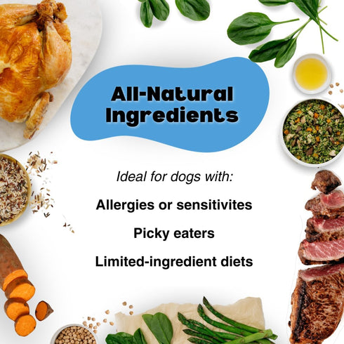 Freeze Dried Chicken Hearts | One Ingredient | High Protein Dog Treat | Grain Free | Made in USA | Net Weight 3 oz...