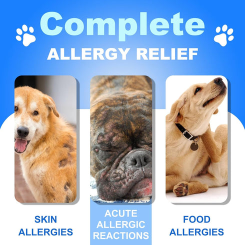 Dog Allergy Relief Chews, Itch Relief and Probiotics for Dogs, Fish Oil Omega 3, Seasonal Allergies, Itchy Skin Relief, Anti Itch Treats, Immune H...