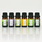 Earnest Living Tea Tree Oil Peppermint Oil Lavender Oil Essential Oil Set for Diffusers for Home Oil Diffuser Essential Oils Eucalyptus Essential ...