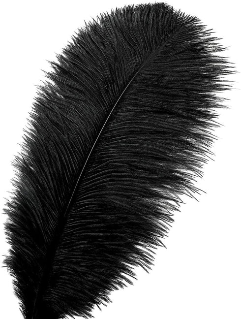 12pcs Natural Black Ostrich Feathers 12-14inch (30-35cm) for Wedding Party Centerpieces?Flower Arrangement and Home Decoration....
