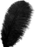 12pcs Natural Black Ostrich Feathers 12-14inch (30-35cm) for Wedding Party Centerpieces?Flower Arrangement and Home Decoration....