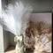 7 PCS Faux Pampas Grass, 23"/60cm White Pampas Grass Decor,7 Branches | Each Stem Fluffy Small Pompous Grass for Vase Filler in Table Vase Decor f...