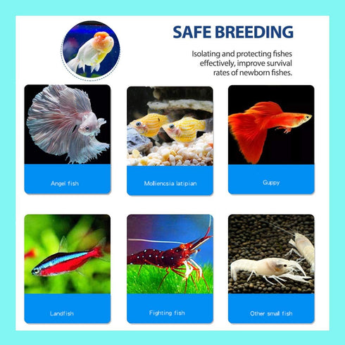 Hamiledyi Aquarium Breeding Isolation Box Acrylic Fish Tank Acclimation Hatchery Incubator Holder Divider for Guppy Shrimp Clownfish Fishes...