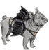 Simplicity Lightly Padded Dog Harness with Wings Sewing Pattern Packet by Carla Reiss, Design Code S9875, Sizes S-M-L, Multicolor...