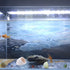 AnRui Ceramic Jar Aquarium Decorations Fish Tank Hideout Cave Cute Pot Aquarium Accessories Decor Ornaments for Cichlid, Small Fish, Shrimp to Pla...