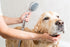 Animal Planet Pet Daily Grooming Kit (3 Pack) Reversible Grooming Glove, Double Sided Comb, Double Sided Brush. for Dogs & Cats, Good for All Bree...
