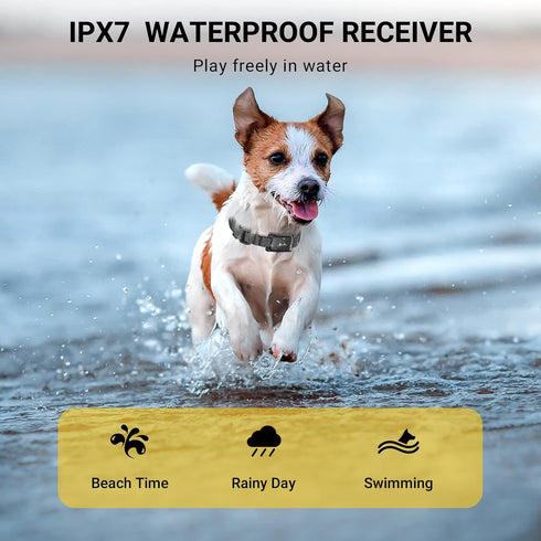 Small Dog Collar E Collar for Dog Training Collar with Remote Shock Collars, 3 Safe Modes Puppy Collar Rechargable Ipx7 Waterproof Receiver Ipx5 W...