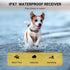 Small Dog Collar E Collar for Dog Training Collar with Remote Shock Collars, 3 Safe Modes Puppy Collar Rechargable Ipx7 Waterproof Receiver Ipx5 W...