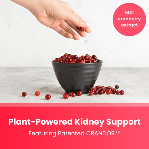 Kidney Cleanse Detox & Repair | 22-In-1 Kidney Health Supplement | Extra Strength 50:1 Cranberry Extract with Bioperine for Increased Absorption |...