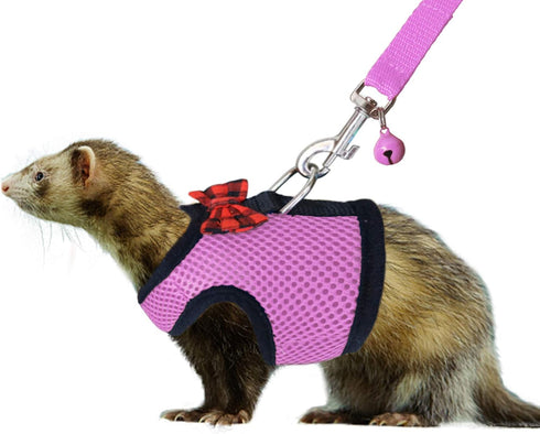 Rypet Small Animal Harness and Leash - Soft Mesh Small Pet Harness with Safe Bell, No Pull Comfort Padded Vest for Small Pet Pink S...