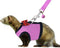 Rypet Small Animal Harness and Leash - Soft Mesh Small Pet Harness with Safe Bell, No Pull Comfort Padded Vest for Small Pet Pink S...
