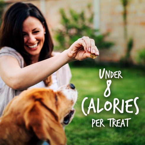 Fruitables Baked Dog Treats – Healthy Low Calorie , Free of Wheat, Corn and Soy – Pumpkin and Blueberry – 12 Ounces...