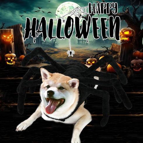 Dog Halloween Costumes, Halloween Spider Costume for Dog Cats, Pet Halloween Cosplay Dress Up Costume Accessories Decoration for Dogs Puppy (Size ...