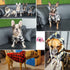 Big Dog Winter Coat Pet Plaid Hoodie Jacket Reversible Vest Cold Weather Dog Cat Clothes Pet Apparel for Medium Large Dogs Labrador Clothing (XX-L...