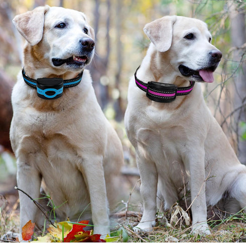 Replacement Collar for Shock Training Bark Collar,Dog Shock Collars Replacement, Nylon Replacement Collar Strap for E Collar Wireless Dog Fence Re...